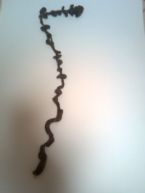 mucoid plaque oct 2008 ... (Click to enlarge)