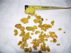 1st liver flush ... (Click to enlarge)