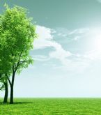 shutterstock 198118601 ... (Click to enlarge)