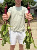 IMG 2865 ... (Click to enlarge)