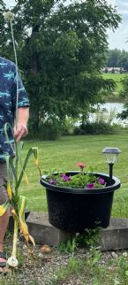 IMG 8815 ... (Click to enlarge)