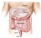 colon diagram ... (Click to enlarge)
