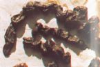 Mucoid Plaque. Photo from Dr. Jensen's  Bowel Management Book ... (Click to enlarge)