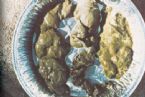 Mucoid Plaque. Photo from Dr. Jensen's  Bowel Management Book ... (Click to enlarge)